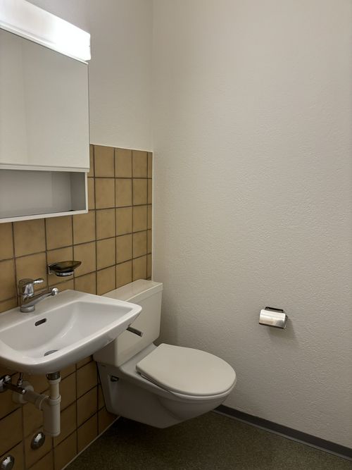 4.5 Zimmerwohnung in Fahrweid
