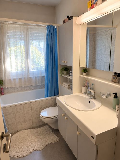 Zentral gelegene 3-Zimmer-Wohnung in Zürich Seebach