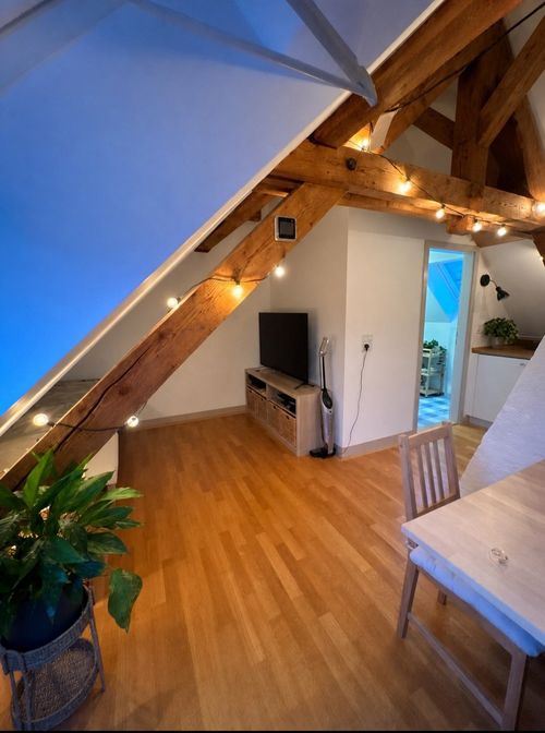 1.5 Zimmerwohnung in Winterthur